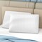 Costway Gel Memory Foam Pillow Set of 2 with Detachable and Machine-washable Pillowcase